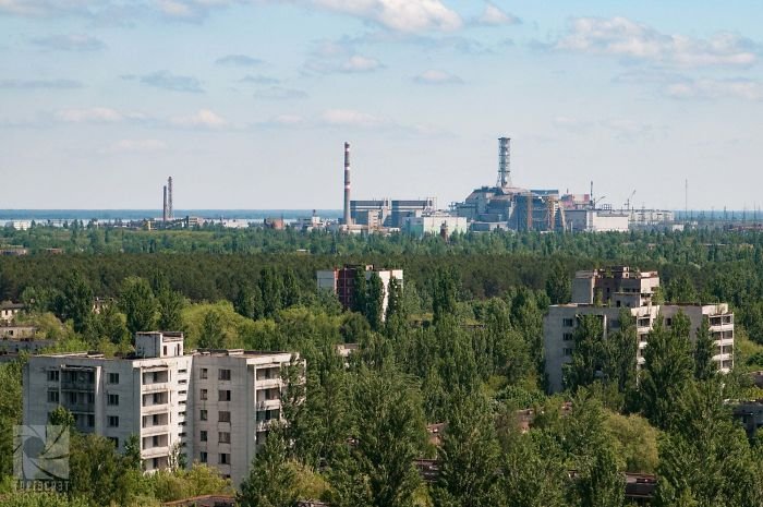 Природа поглощает территорию вокруг Чернобыля Интересное
