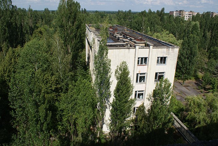 Природа поглощает территорию вокруг Чернобыля Интересное