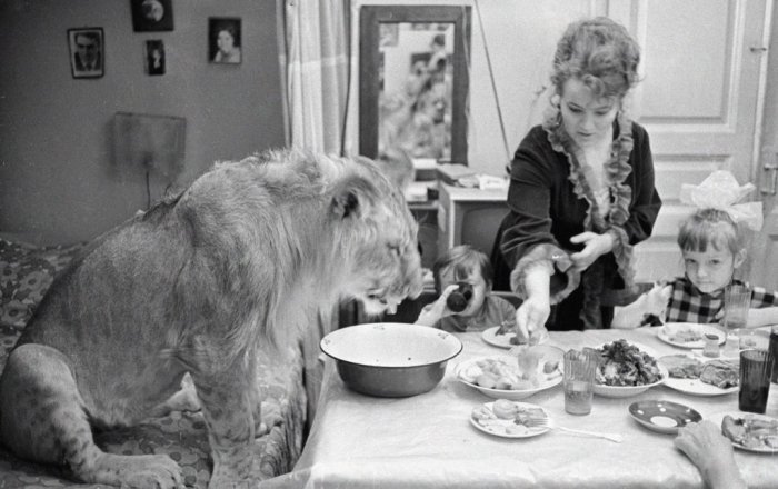 Как снимали животных в культовых советских фильмах: Мучения режиссёров и тоска четвероногих актёров животные