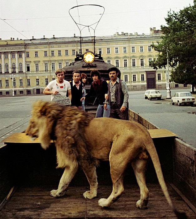 Как снимали животных в культовых советских фильмах: Мучения режиссёров и тоска четвероногих актёров животные