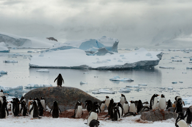 Невероятная Антарктика от Кайла Анстея 