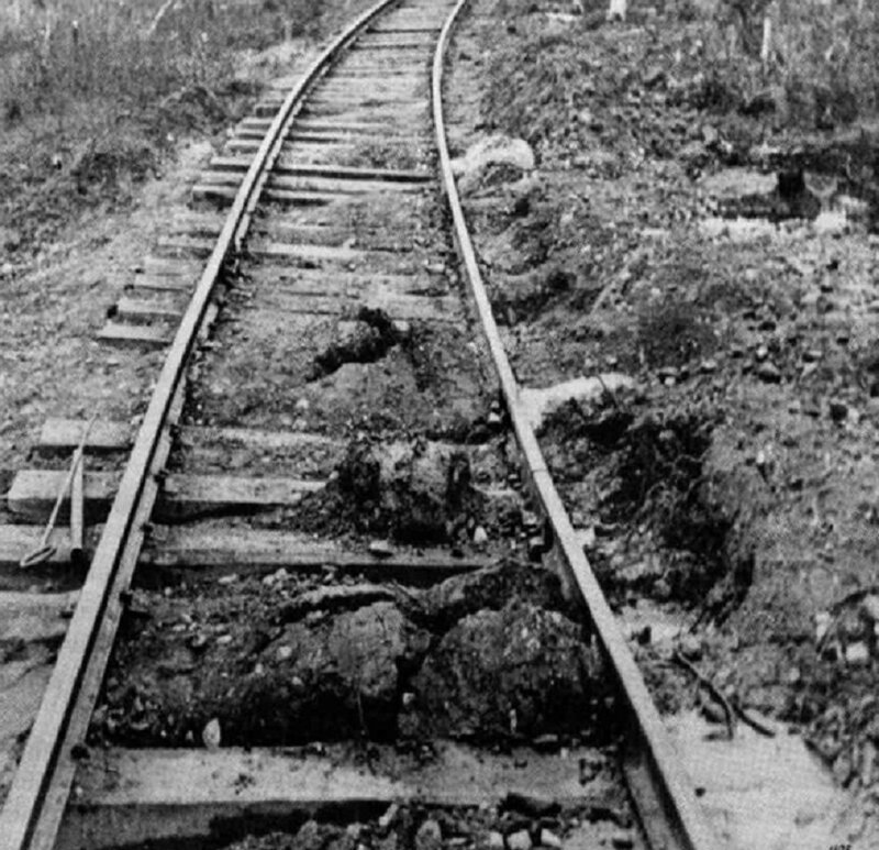 Мертвая дорога-призрак: трагическая история строительства Трансполярной магистрали 